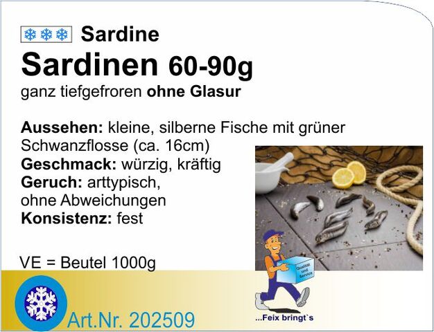 202509 - Sardinen 8-12St/kg (10x1kg/Kt) Spanien