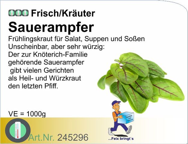 245296 - Sauerampfer 1kg frisch