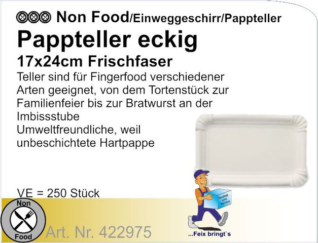 422975 - Pappteller eckig 17x24cm Frischfaser (4x250St./Kt)